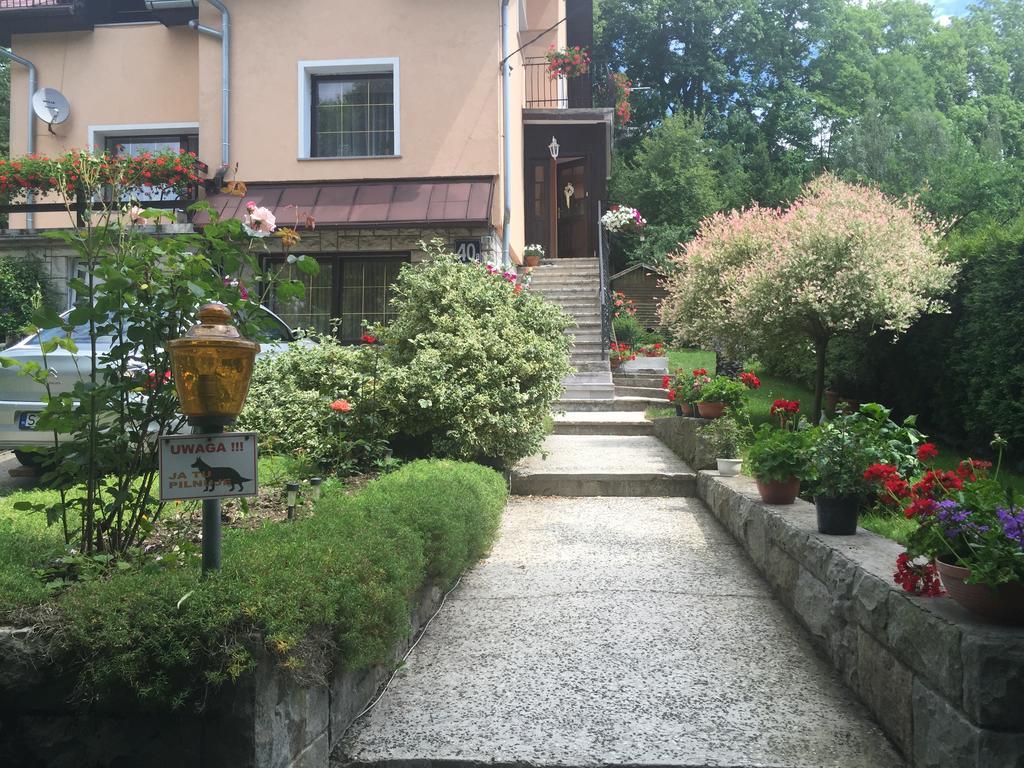 Noclegi Pod Kasztanem Duszniki Zdroj Exterior photo
