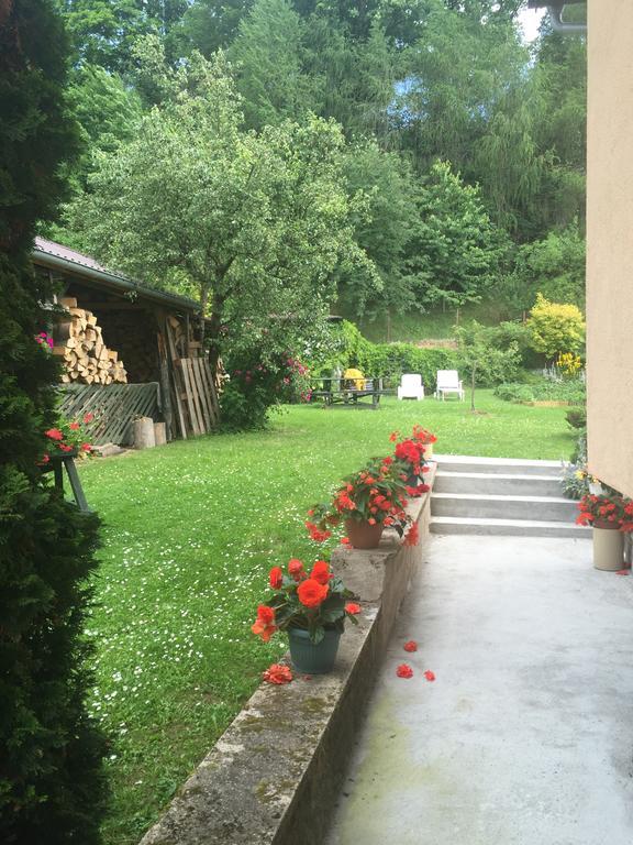 Noclegi Pod Kasztanem Duszniki Zdroj Exterior photo